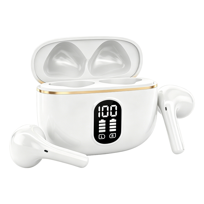 Graddi PowerView Earbuds