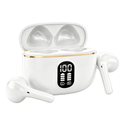 Graddi PowerView Earbuds