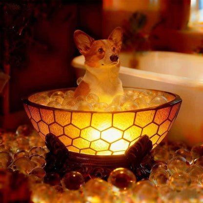 Graddi Paws & Honey