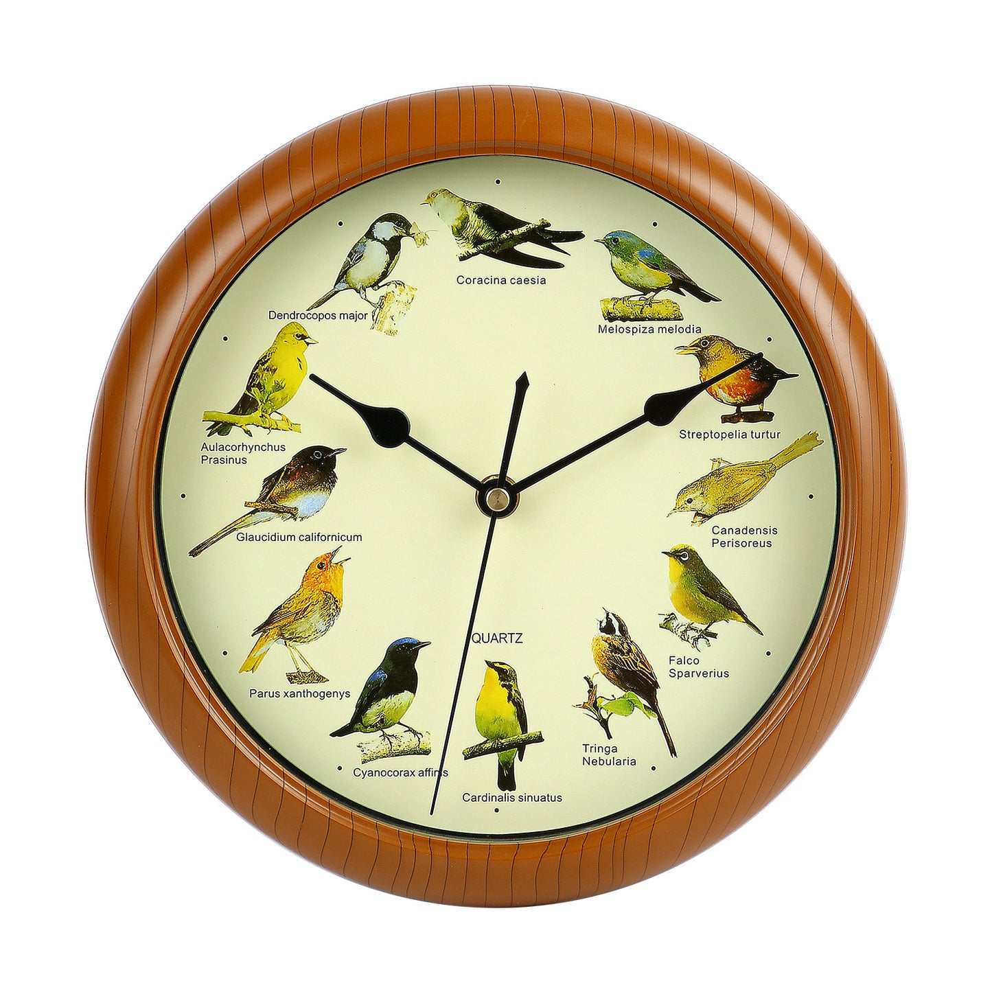 Grishay™ Birdsong Timepiece